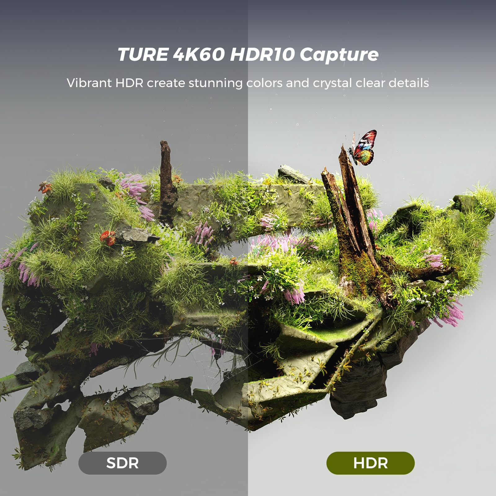 NearStream 4K60 HDR10 Capture Card mit HDMI Pass-Through, USB 3.1 Video Capture Card für Streaming, Aufnahme in 4K bei 60 fps mit Ultra-niedriger Latenz für PS5/Xbox/Switch in OBS und YouTube(CCD30)