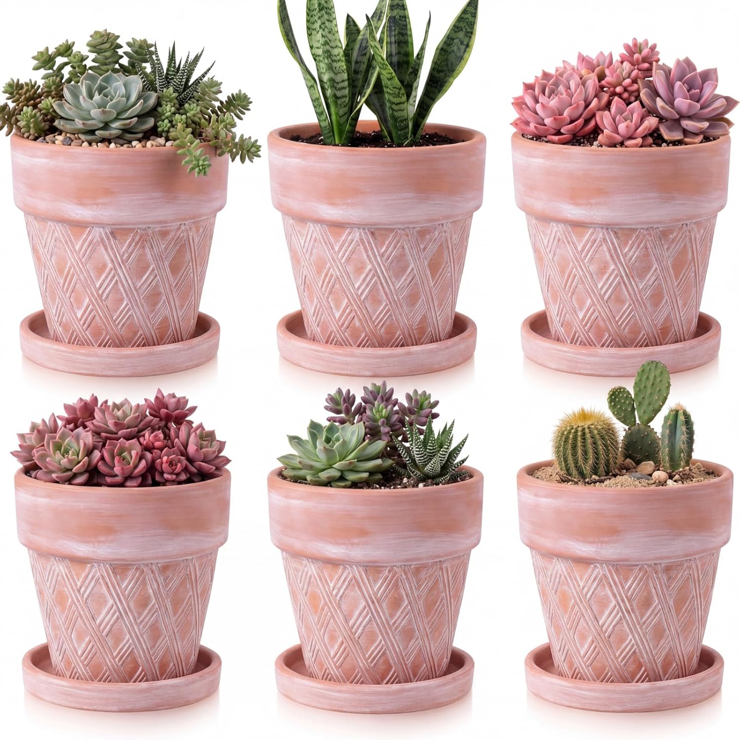 Maxdot Set of 6 Embossed Succulent Pots 4" Small Terracotta Pots with Drainage Hole and Saucer Rustic Clay Succulent Planter Pot Decorative Ceramic Cactu Flower Pot for Indoor Outdoor(Lattice Style)