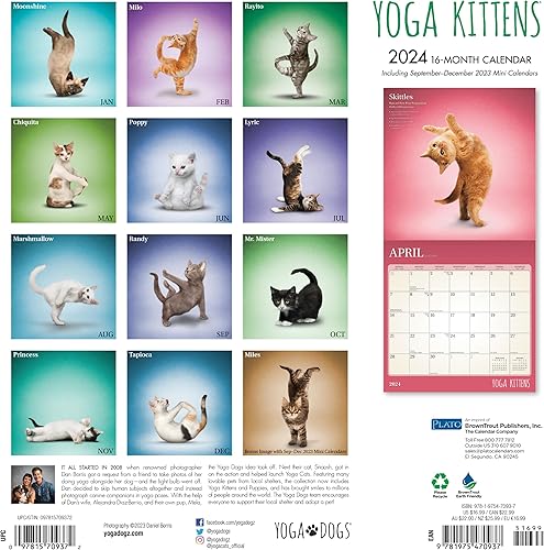 Miniatura 2 de Al - Auriculares de traducción de idiomas, clip gratuito 3 en 1, 144 idiomas en tiempo real, más de 100 calcomanías de calendario (regalos de