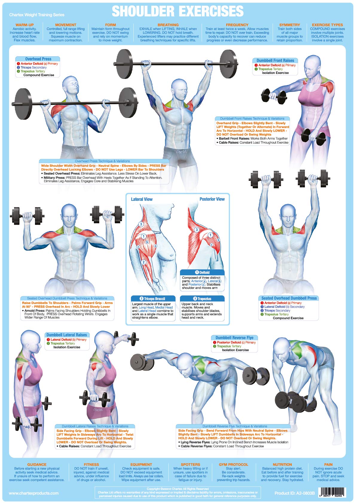 Weight Training Chart Engage Your Core (POWRX Whole Body Vibration