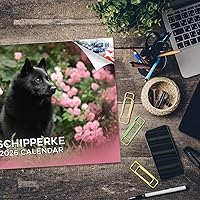 Vista 463 de Razas de Perros 2017