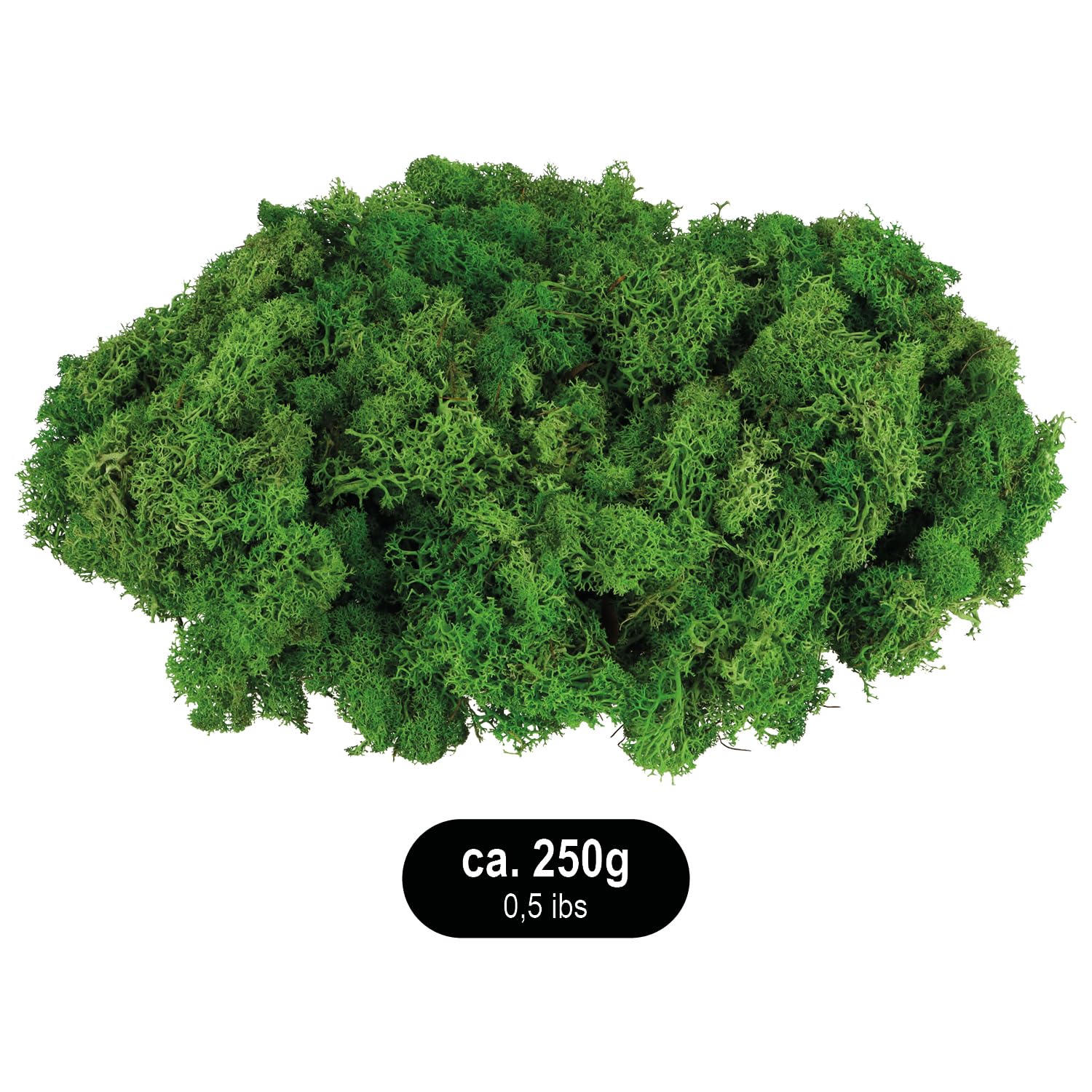 com-four® Muschio Decorativo da 250 g - Muschio Artigianale Fai-da-Te - Vero Muschio Decorativo per Lavorazione e Decorazione - Muschio Naturale per Progetti Artigianali (Muschio Decorativo - 250 g)