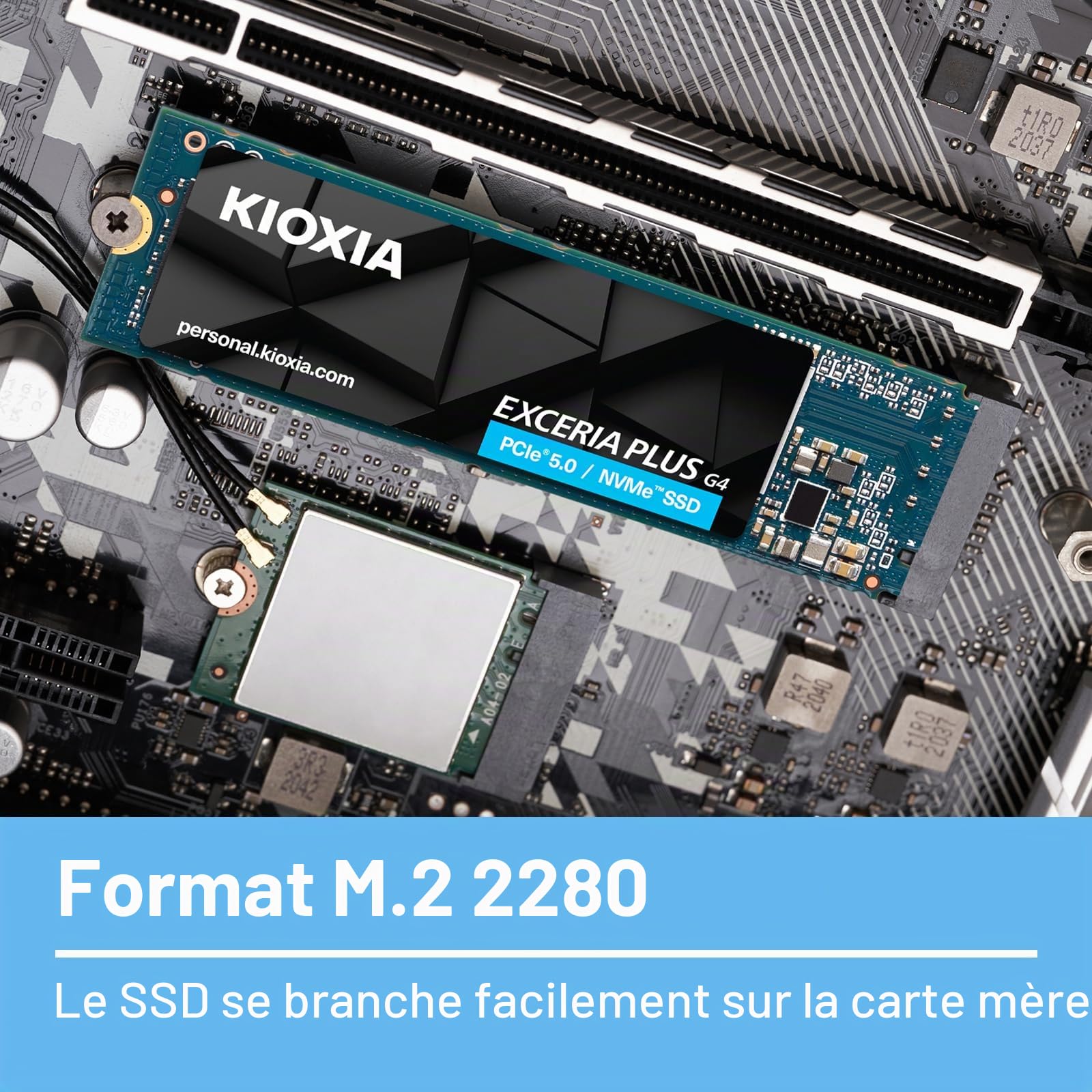 Kioxia Lvd10z001tg8 Drives Allo Stato Solido 1 Tb M.2 Pci Express 5.0 Nvme Bics Flash Tlc (kioxia Exceria Plus G4 Pcie 5.0 1tb)