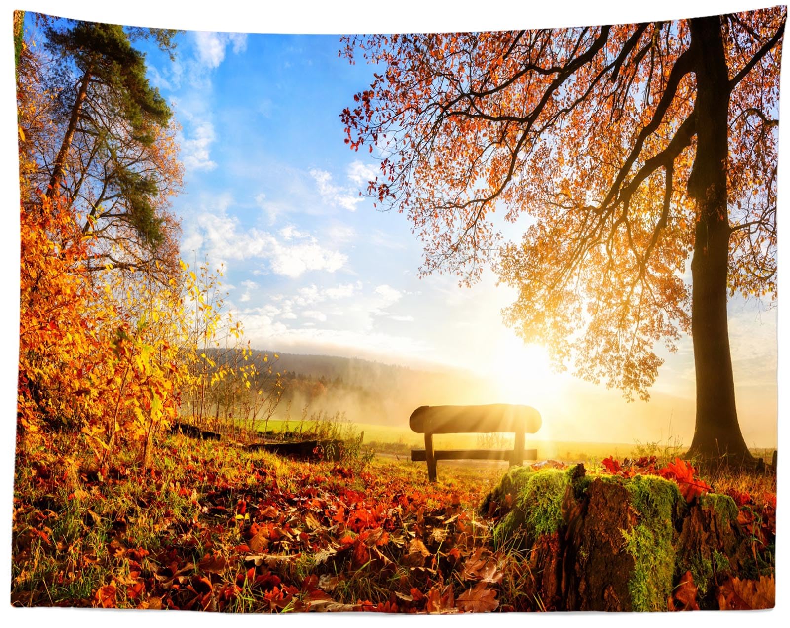 Herbst-Fotohintergrund 3x2,4 M – Goldene Weizenfelder & Blauer Himmel Für Hochzeiten, Geburtstage & Fotoshootings