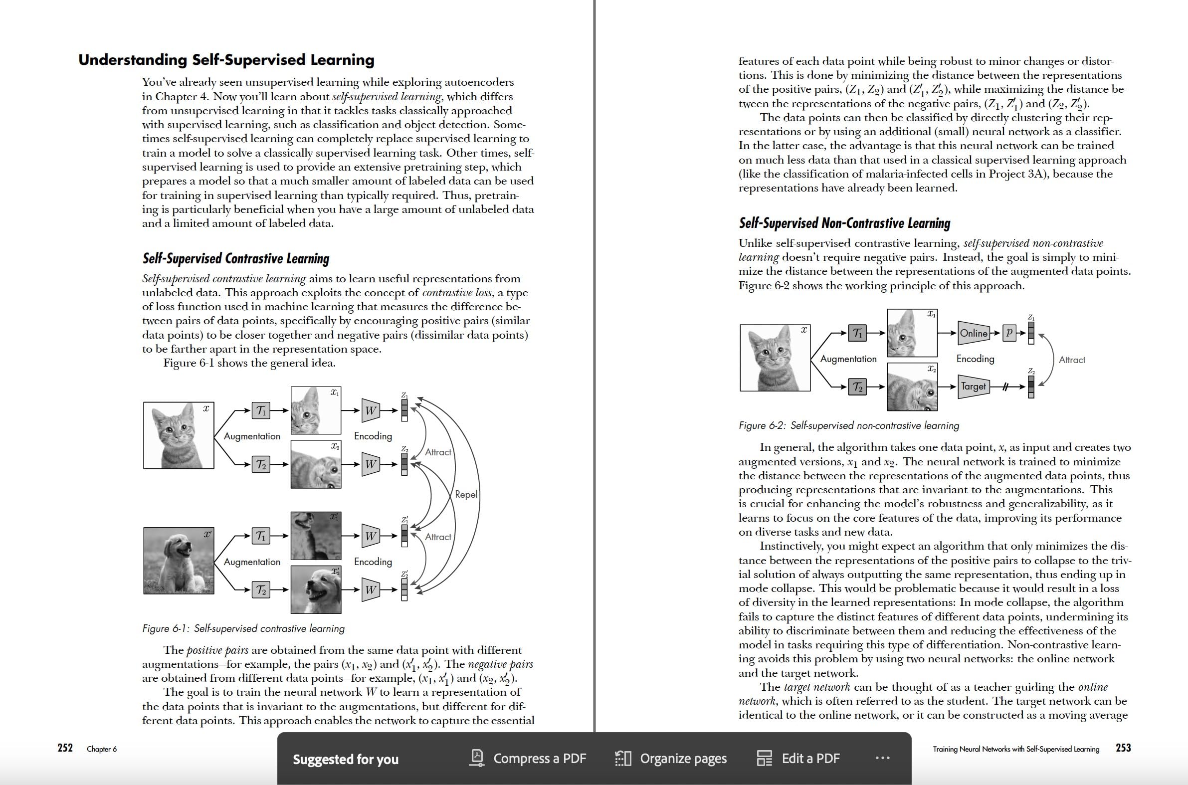 Deep Learning Crash Course
