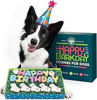 Dog Birthday Cookies - Treats for Dogs at Any Age - Made With Human-Grade Ingredients - Happy Bday Cookies for Boy or Girl Puppy - First Bday Gift - Baked Fresh in USA