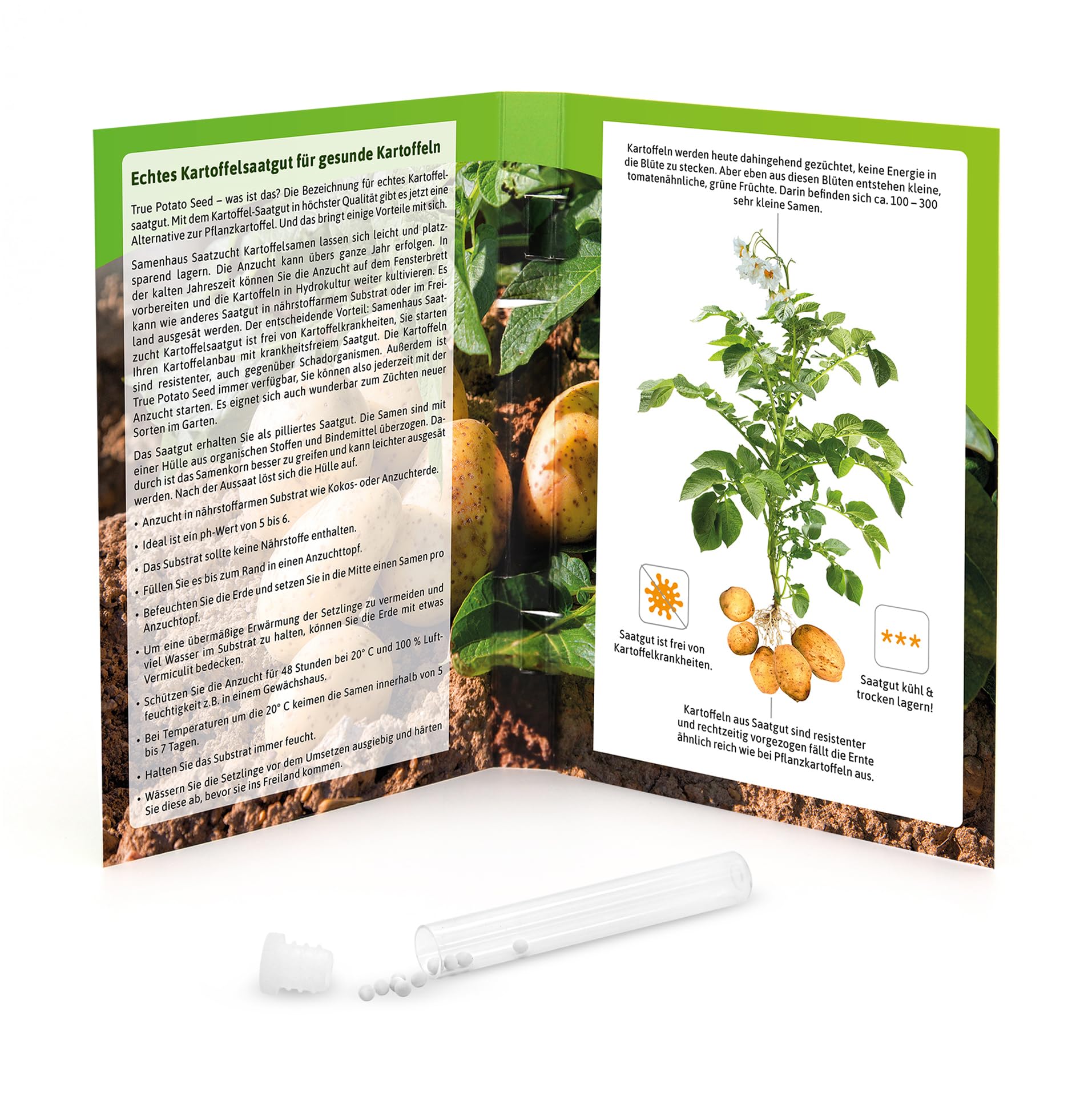FLORTUS Anzuchtset Kartoffeln mit Kräutertopf Harry Herbs grau | Pillensaat Oliver F1 & Mini Gewächshaus mit Bewässerungssystem | Alternative zu Pflanzkartoffeln