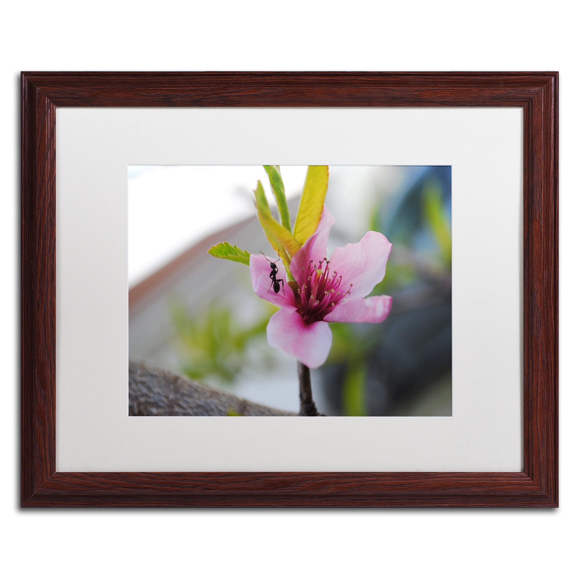 Expressive Individuality by Monica Mize Wood Frame, 16" x 20", White Matte