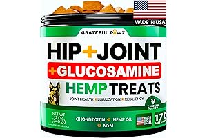 Hemp Hip and Joint Supplement for Dogs - Advanced Mobility Support