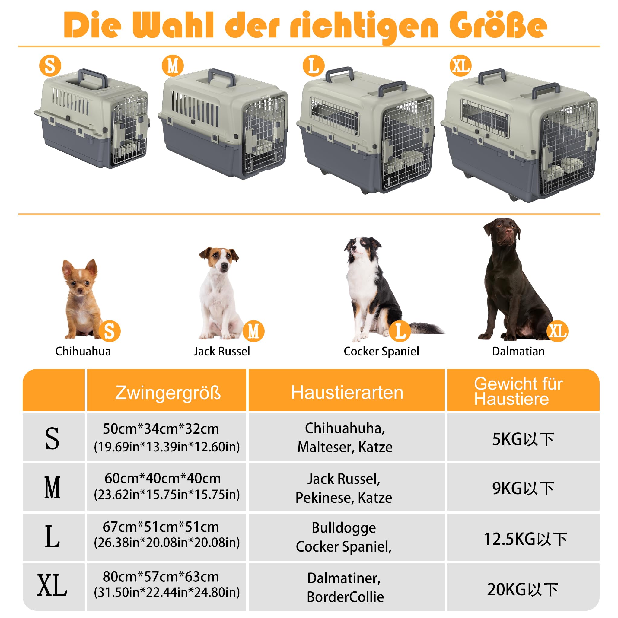 LZQ Contenitore per il trasporto di gatti, cani e animali, in plastica, per il trasporto di piccoli animali, coniglio (lunghezza 67 x larghezza 51 x