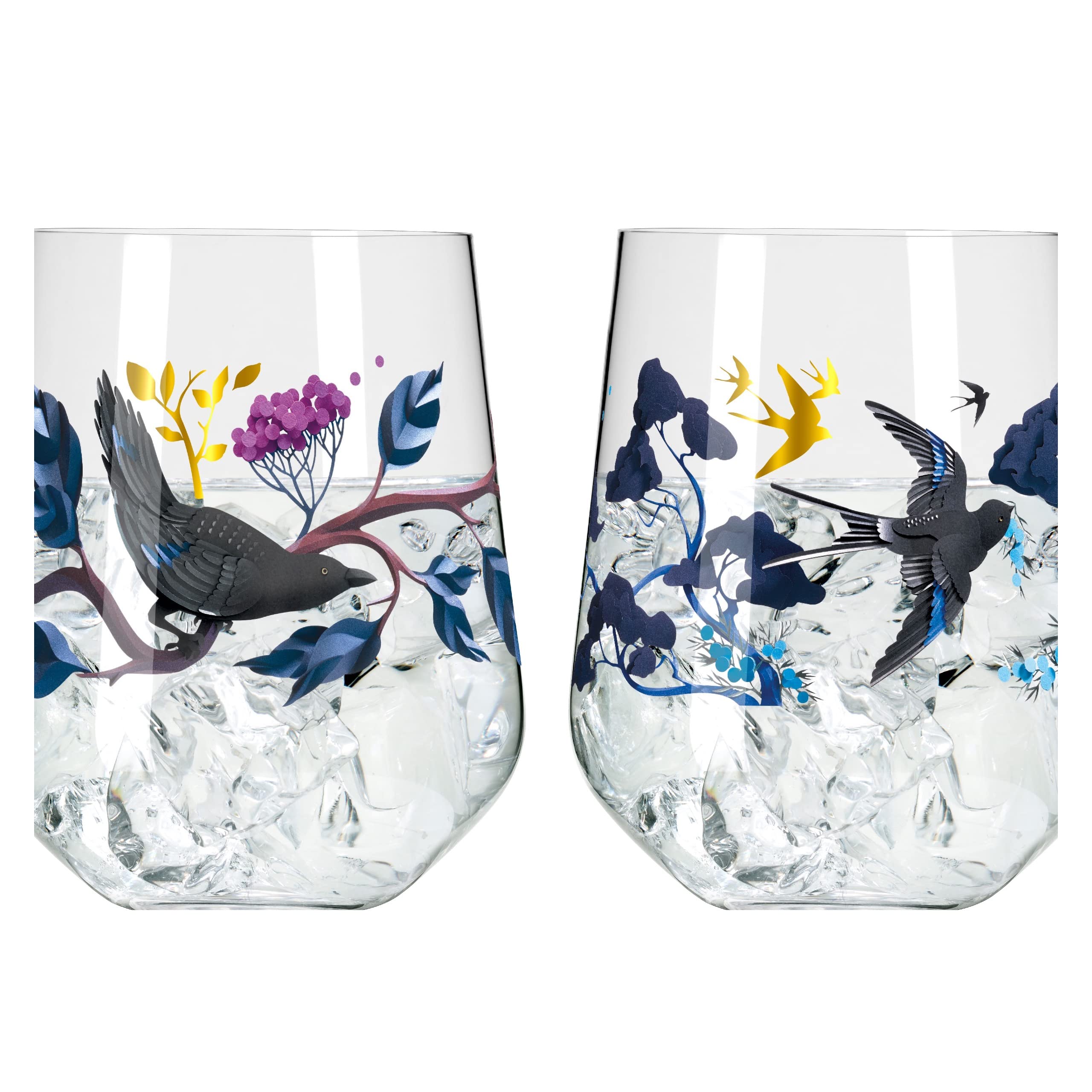 RITZENHOFF 3801002 Set di bicchieri da gin 700 ml - Serie Botanic Glamour No. 1, 2 pezzi con mondi di carta - Made in Germany
