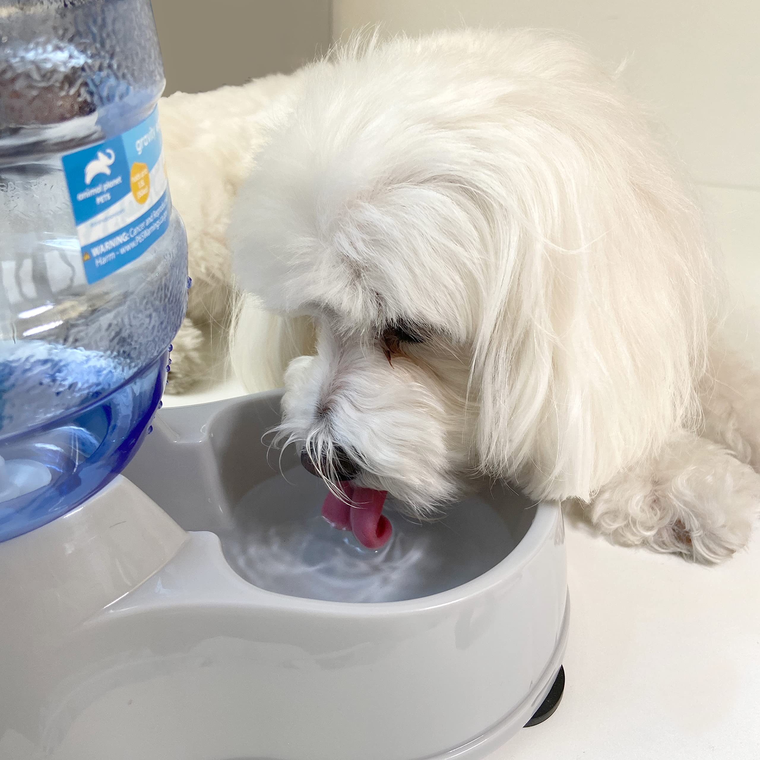 Animal Dog Gravity Feeder Water Bowl Dispenser