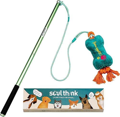 Poste interactivo de entrenamiento para perros  Equipo de ejercicio para perros para exteriores e interiores, señuelo de juguete blando para perros,