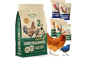 Bluebird's Delectable Dried Mealworms: Nature's Energy Boost for Wild Birds