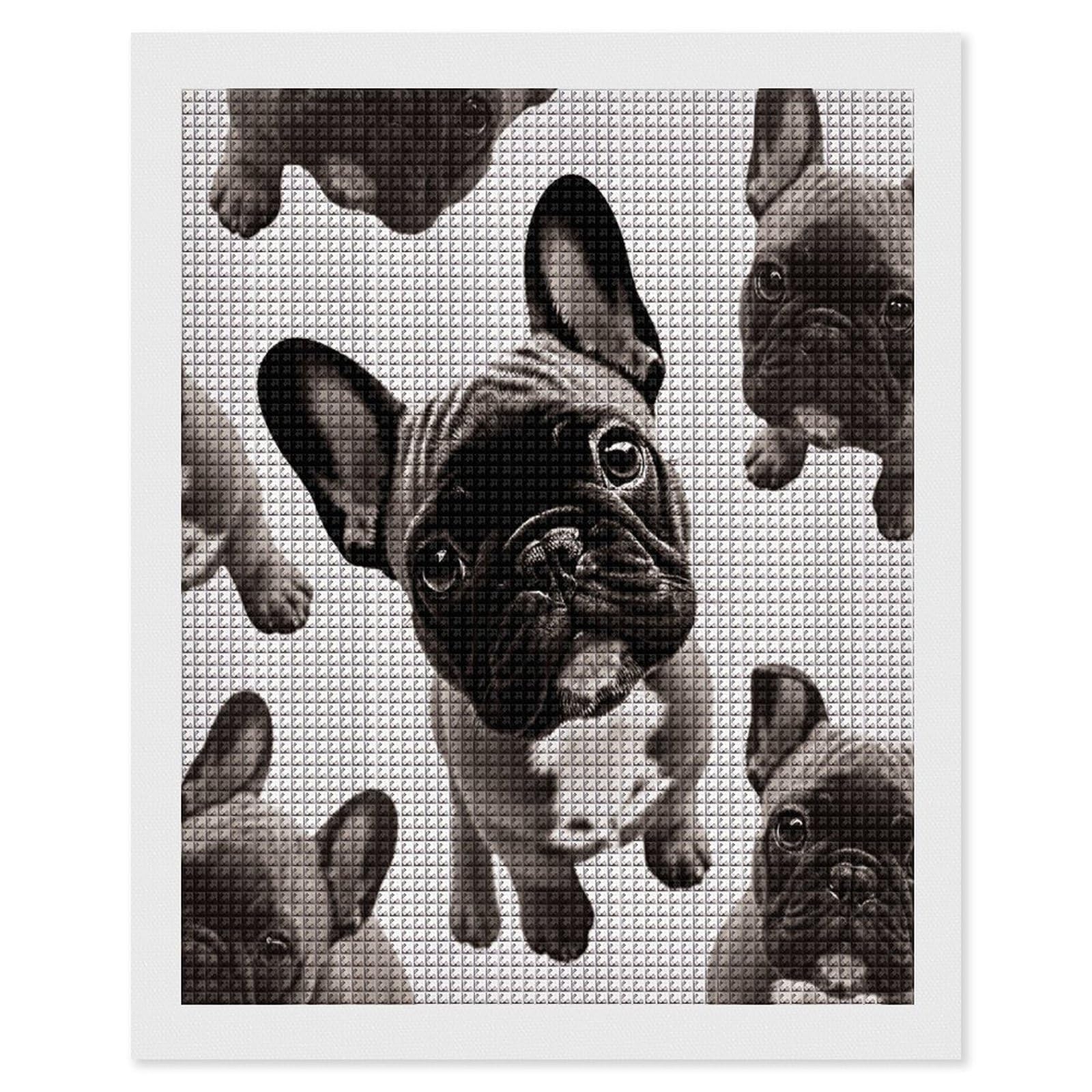 FodPand French Bulldog Diamond Painting Kit for Beginner Fun 5D DIY Crafts for Adults Diamond Art Kits Square Diamond Art Canvas Painting Gem Art Crafts for Home Wall Decor 16"x20"