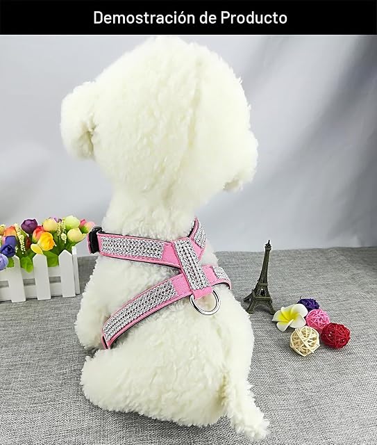 Foto 2 de 7 de Newtensina Moda Perro arnes con Diamantes Linda Mujer Bling Pequeña Perro arnes