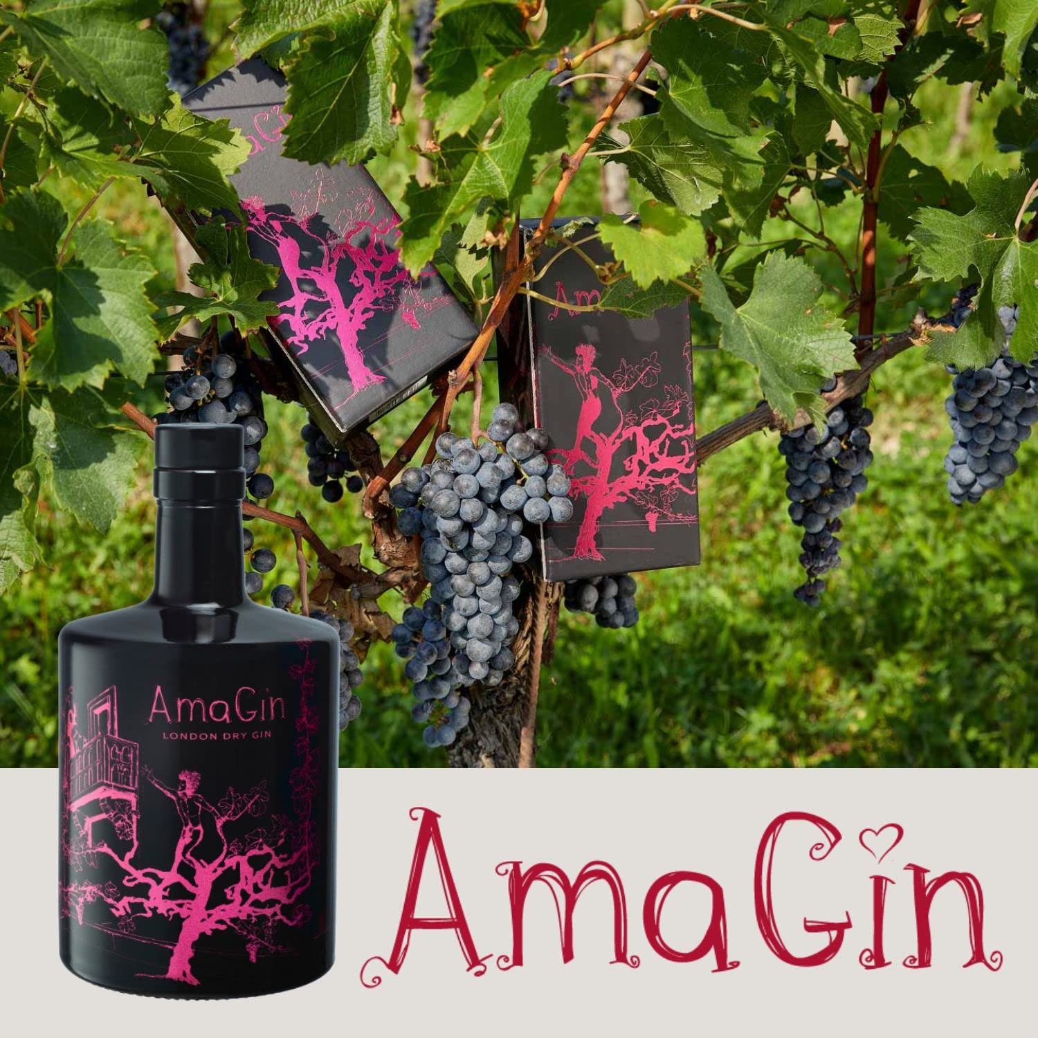 AmaGin London Dry – Gin 500ml da Distillazione Uve Corvina e Rondinella (Amarone della Valpolicella DOCG) – Con Confezione – 45% Vol – Made in Italy – Prodotto Artigianale – London Dry Gin - Premium