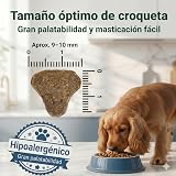 Ver la foto 6