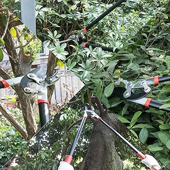 HAUTMEC Anvil Loppers For Tree Trimming Heavy Duty, Extendable 27-37'' Garden Bypass Loppers With Compound Action System, 2" Cutting Capacity