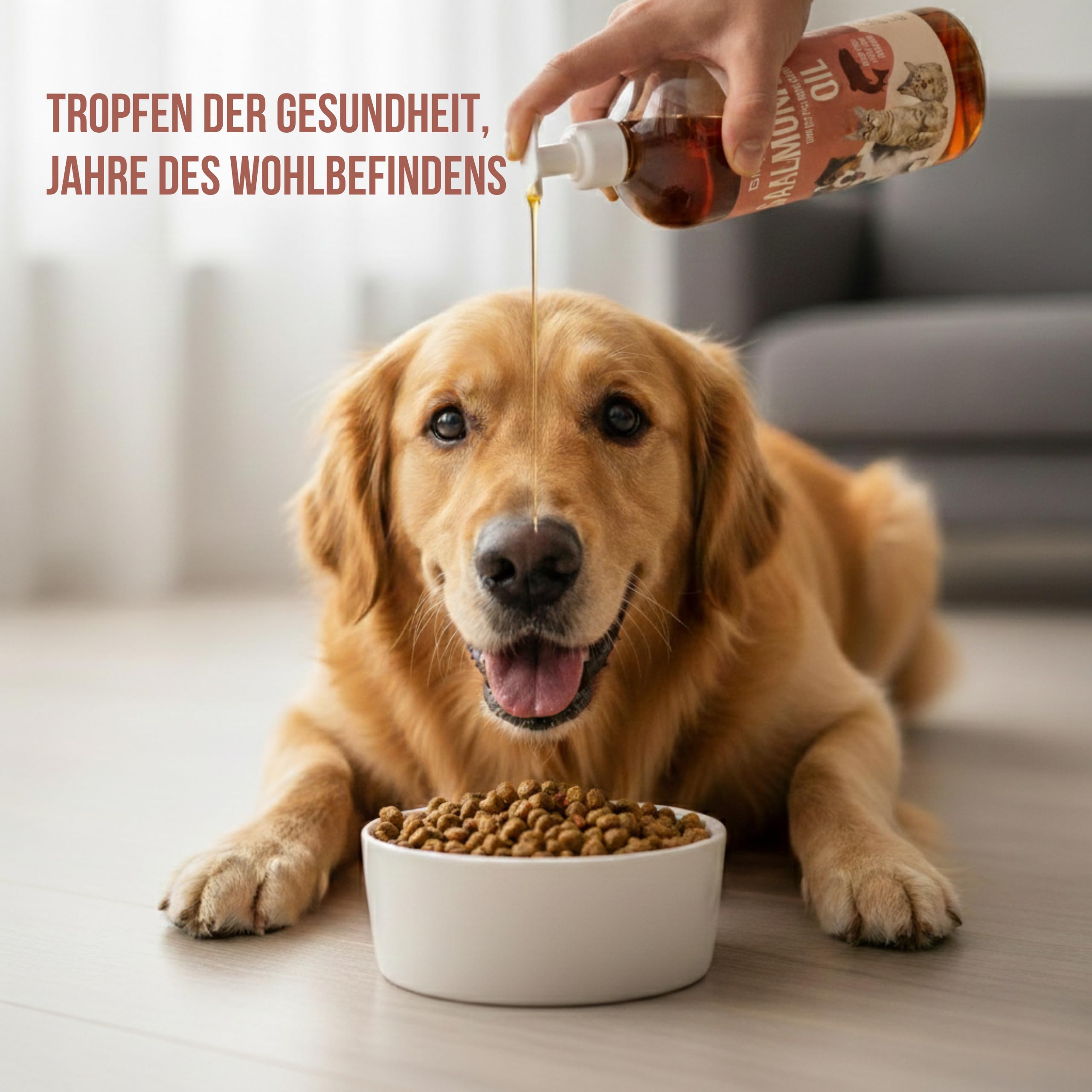 Lachsöl: Hunde und Katzen, 5 l, Quelle von Omega 3 und 6, EPA und DHA, hochwertiges Nahrungsergänzungsmittel mit Fettsäuren und Vitamin E – Herkunft Schottland