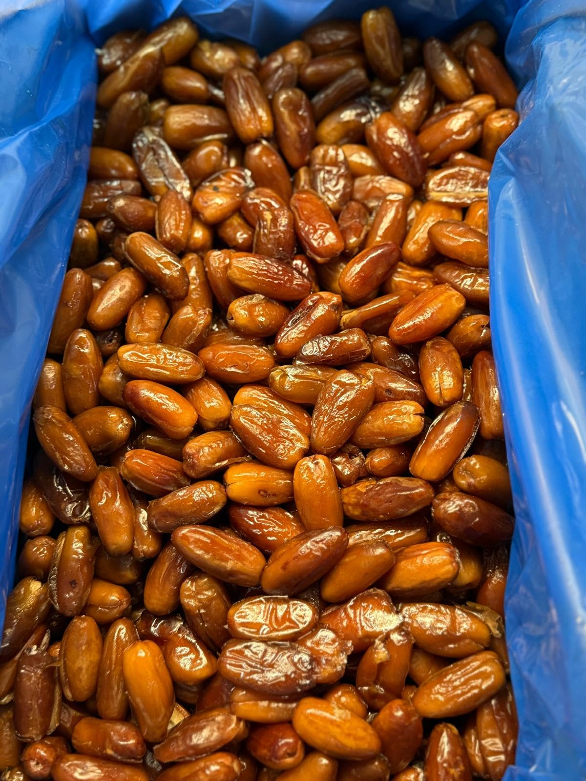 Organic Pitted Dates | 100% Algerian Deglet Noor| Certified ORGANIC, NON-GMO, VEGAN, KOSHER, naturally sweet and Gluten-free, NO sugar added, NO sulfurs or preservatives, Nut-Free. (19.84 BULK)