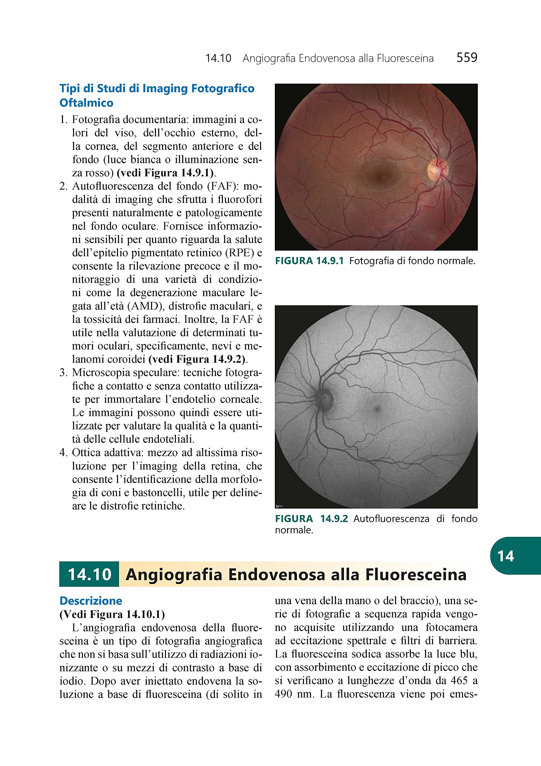 Wills eye. Il manuale. Diagnosi e trattamento delle malattie oculari in ambulatorio e pronto soccorso