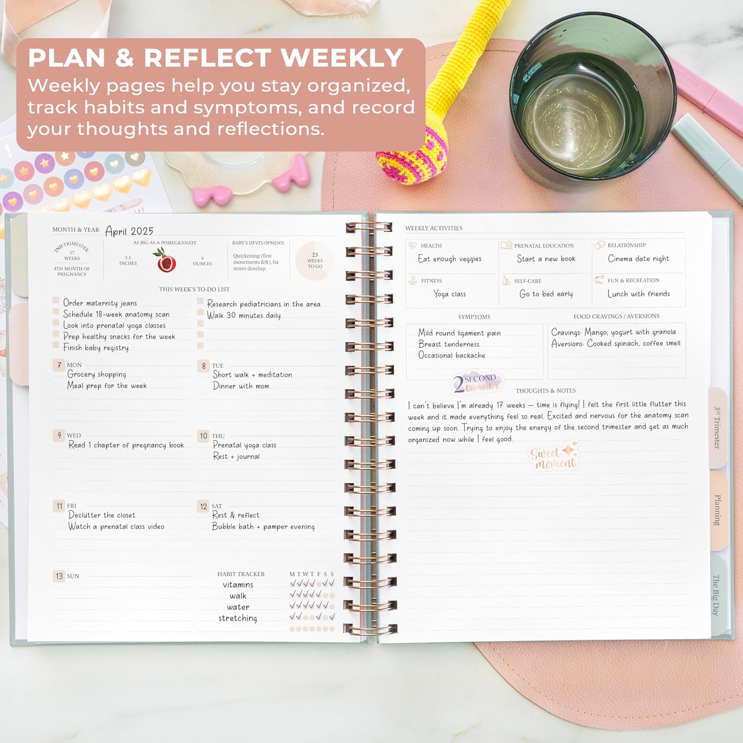 Skyline Pregnancy Planner JournalPregnancy Log Book Keepsa