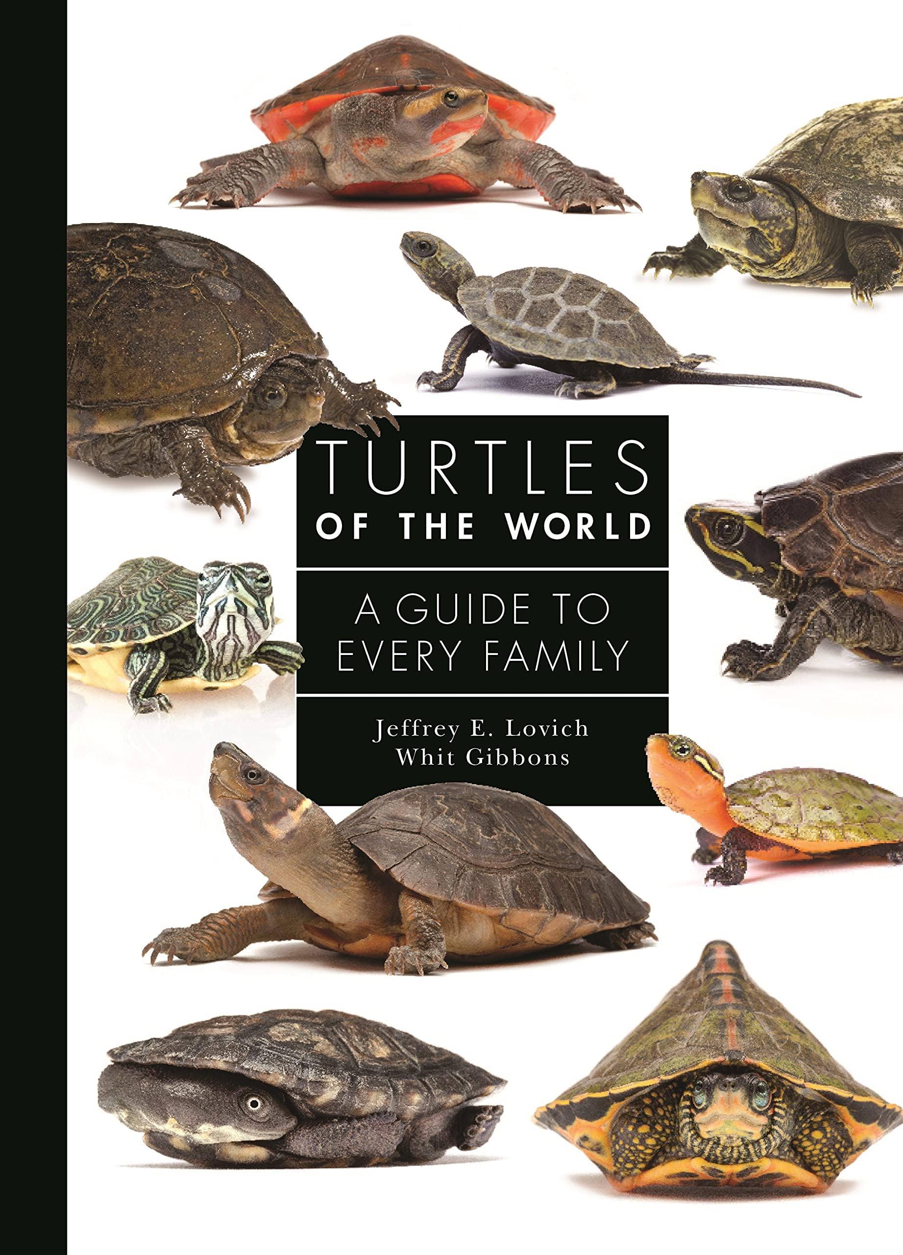 Princeton University Press Turtles of the World: A Guide to Every Family