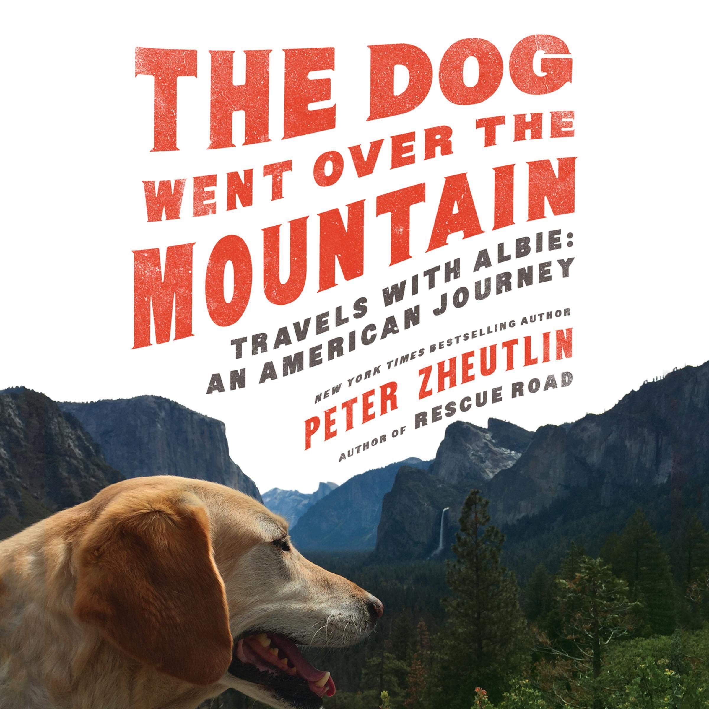 Cover art for The Dog Went Over the Mountain