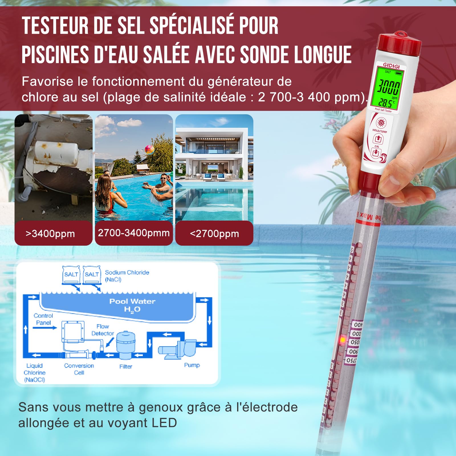 Testeur de sel numérique de piscine à longue sonde, compteur de salinité pour piscines d'eau salée, bain à remous, spa, aquarium d'eau douce, étang Koi (0-5000 PPM)