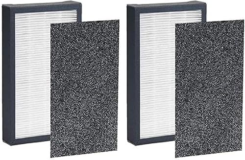 Nispira Filtro de repuesto HEPA verdadero compatible con filtro GermGuardian FLT4100 E compatible con filtros AC4100 purificador de aire modelo 2