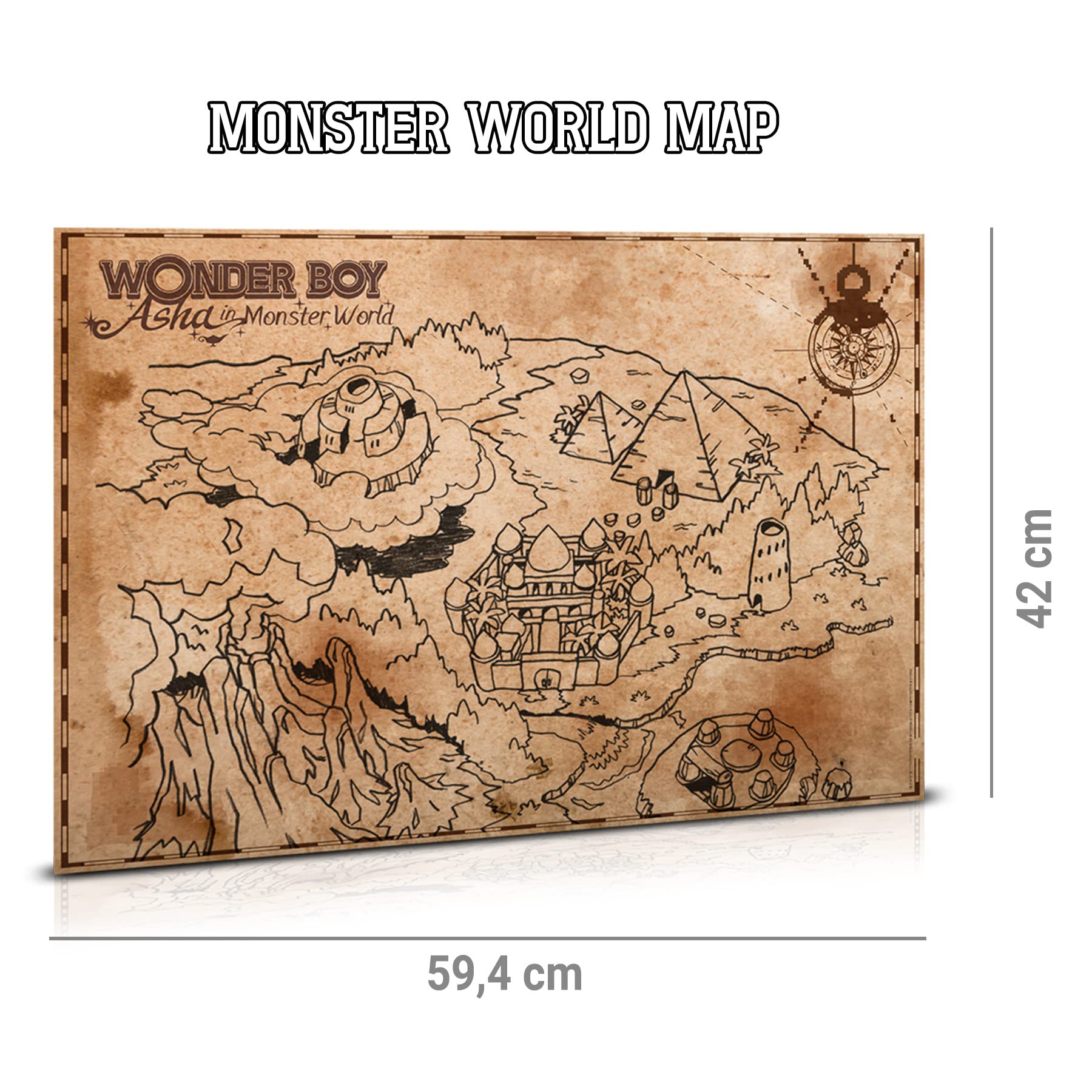 Wonder Boy: Asha in Monster World Collector's Edition (PlayStation 4) - LIMITADO