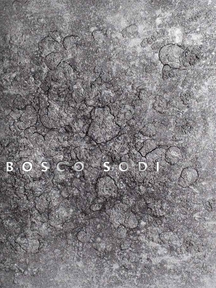 Monographie Bosco Sodi Anglais reliure premium d exposition