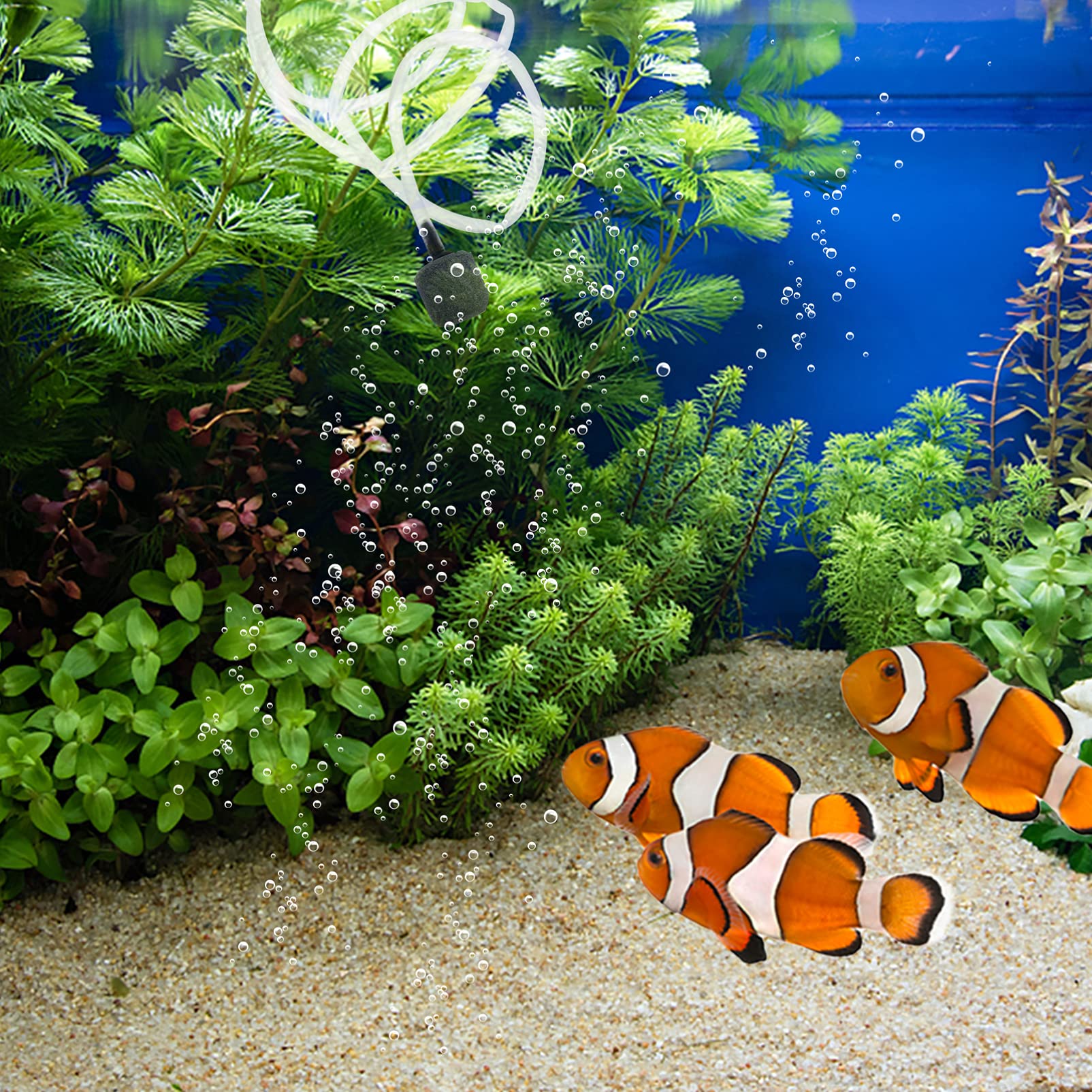 POPETPOP 3juegos Mini De Aire USB para Acuarios Oxigenador Silencioso para Peceras Pequeñas Fácil Instalación y Uso Accesorio Práctico para Peces Color Aleatorio