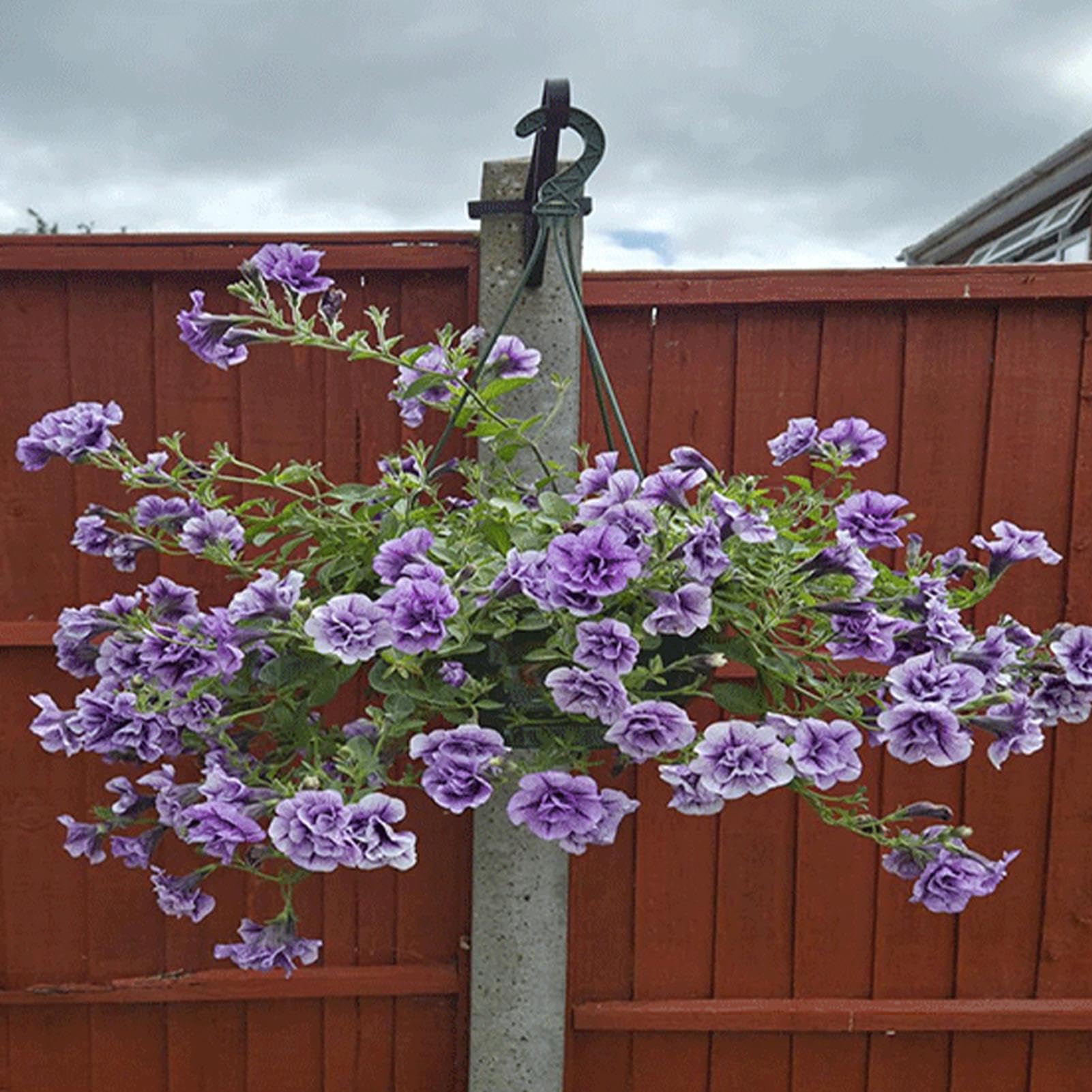 Générique Suspension D'Extérieur 4 Supports Pour Pots De Fleurs 38 Cm