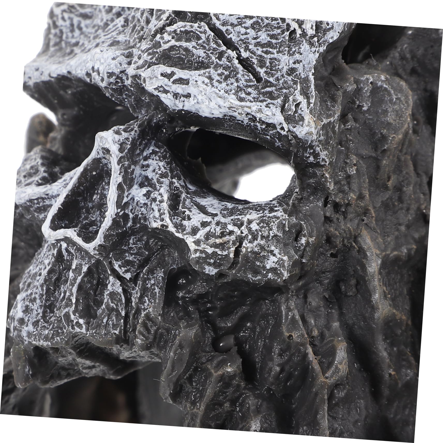 Yardwe 2 Pièces Décorations Aquatiques Grotte sous-Marine Ornement d'aquarium Squelette Aquarium orner Aquariums aquaterrarium Grotte cachette d'aquarium Accessoires d'aquarium résine
