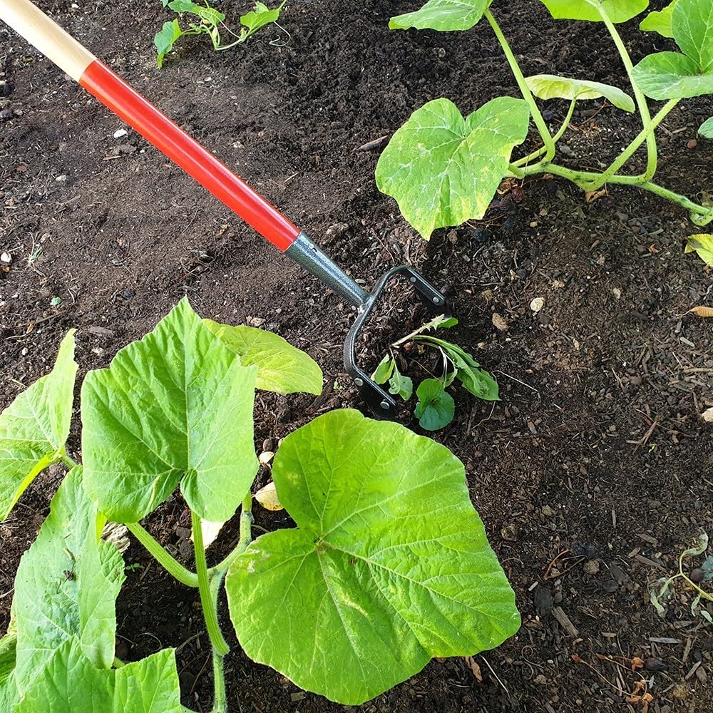 Grattoir de jardin - Avec manche bois 1,3 m, 16 cm