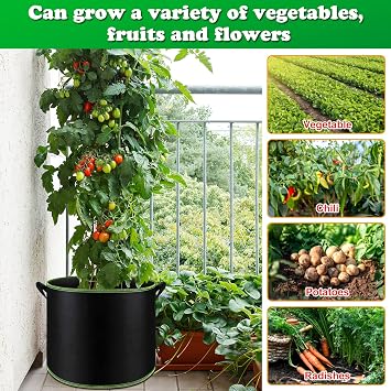 FEPITO 5 Pack 10 Gallon Grow Bags Heavy Duty Aeration Fabric Pots Plant Grow Bags with Handles Thickened Nonwoven Fabric Pots for Vegetable Fruits Flowers Plant