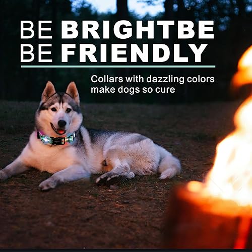 Miniatura 3 de Collares de perro con luz LED, collar de perro con luz LED, collar de perro brillante recargable por USB con impermeable, collar de seguridad