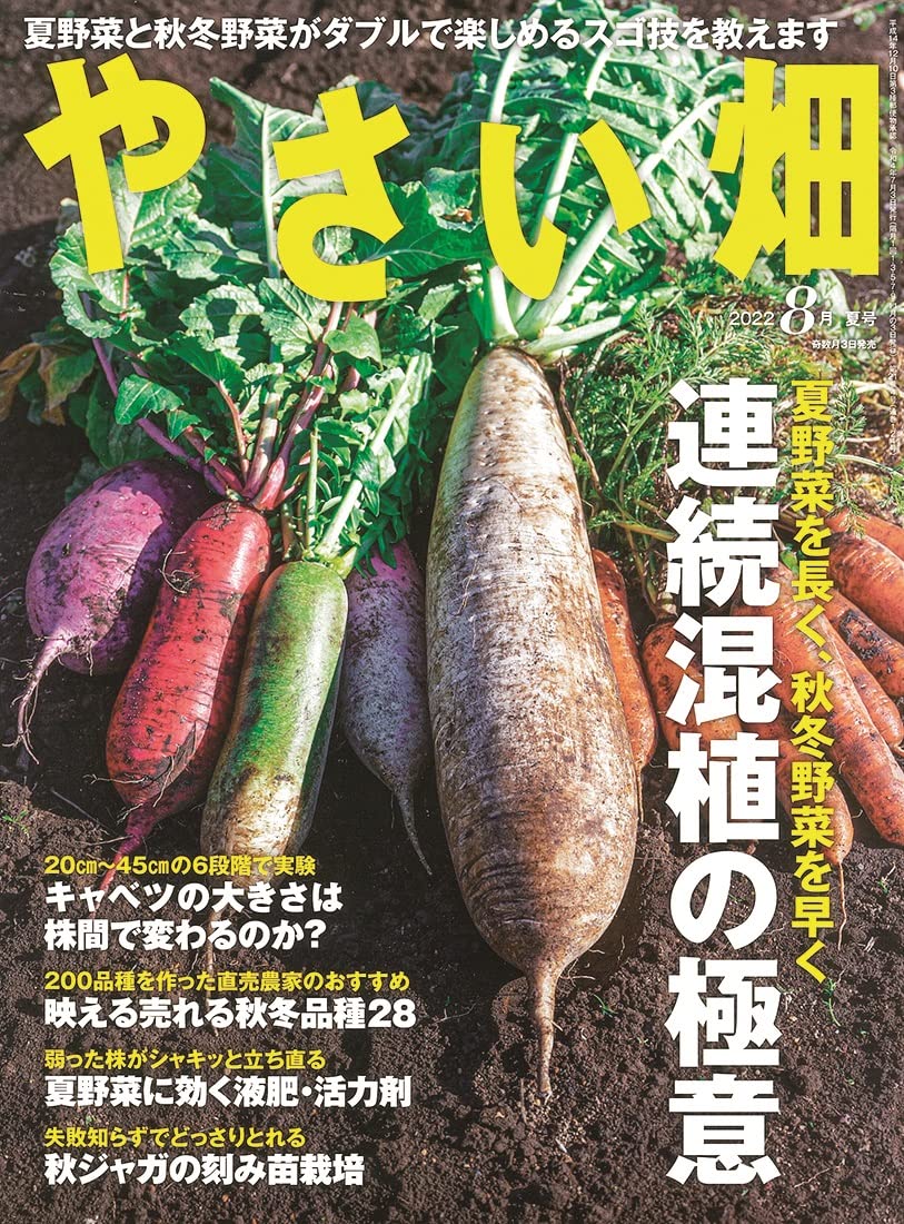やさい畑 夏号 22年8月号 配送料無料