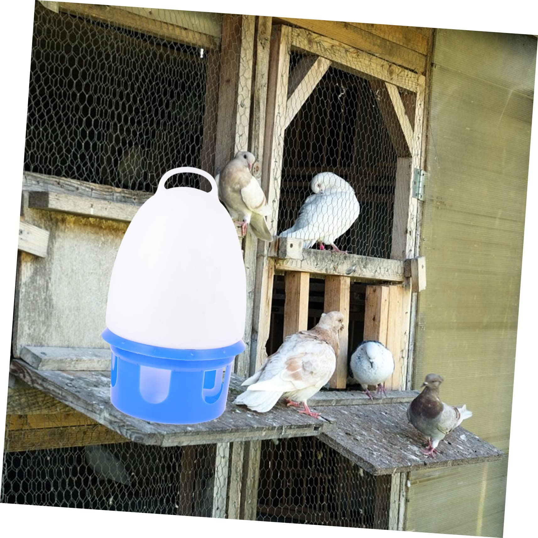 Abreuvoir pour Pigeons en PVC Bleu, Bouteille Ronde 1 Pièce