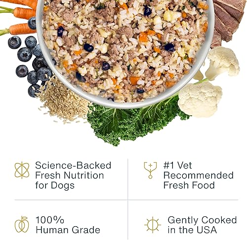 Miniatura 33 de JustFoodForDogs Alimento fresco congelado para perros, comida completa o alimento para perros, receta de alimento humano de carne de res y patata