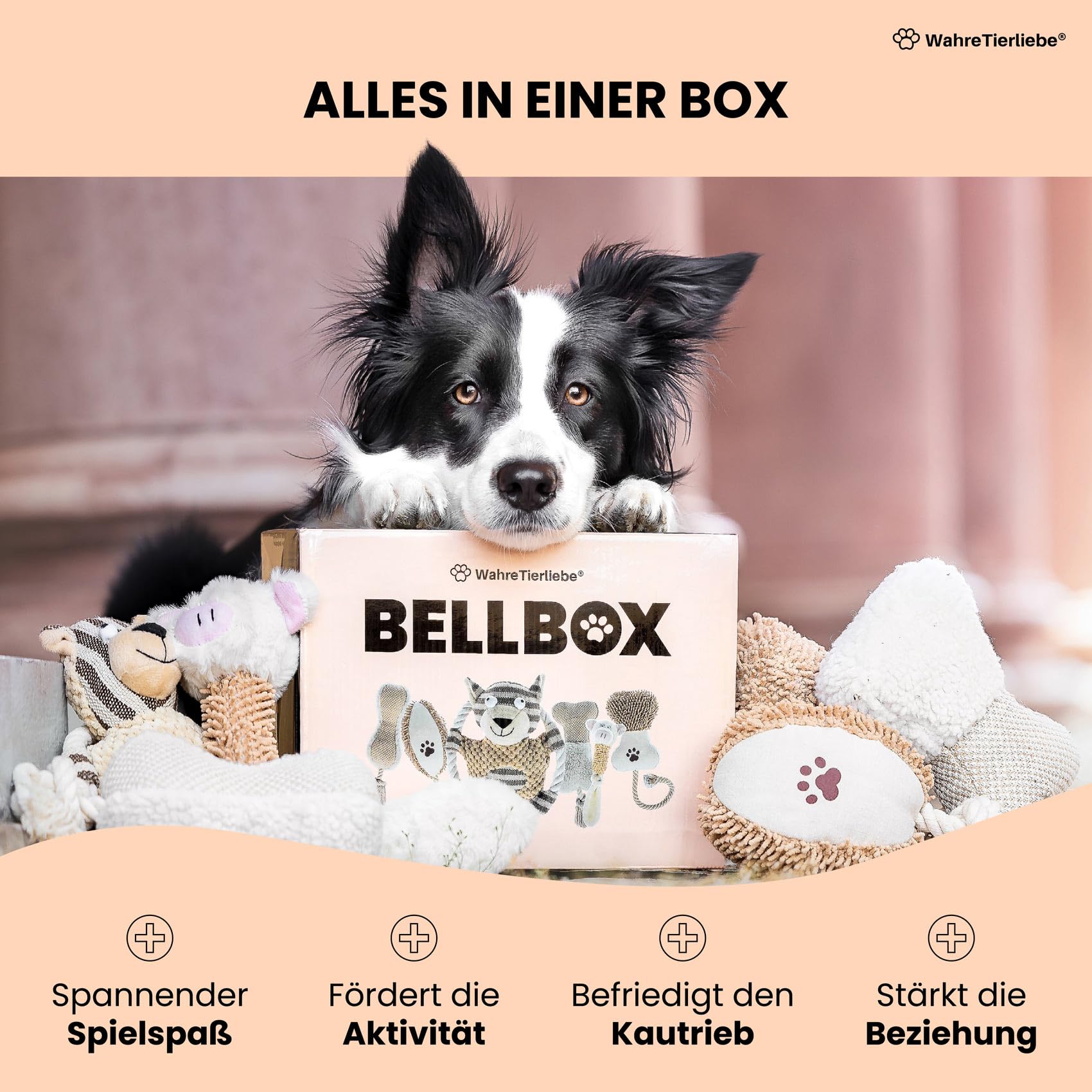Wahre Tierliebe Bellbox - All in One Hundespielzeug I Spielzeugbox für Hunde | 6X spannende Quietsch, Kau & Seil Spielzeuge für den Spiel und Kautrieb I Robustes Zerrspielzeug (6X Stück mit Box)
