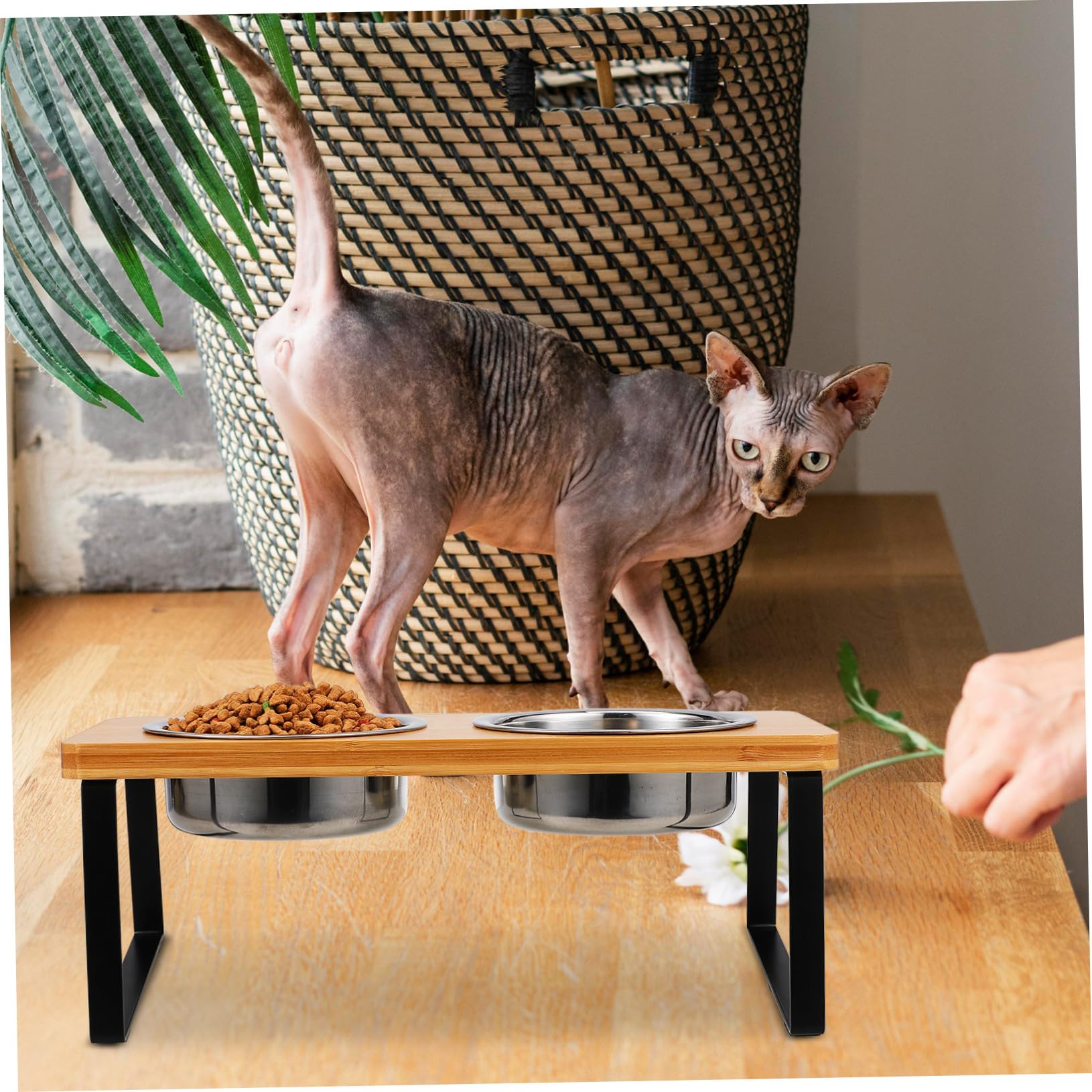 DOITOOL Comedero Gato Elevado con Soporte Antideslizante Cuencos Dobles de Acero Inoxidable para Comida y Agua Estación de Alimentación Ergonómica para Gatos Diseño Moderno y Funcional