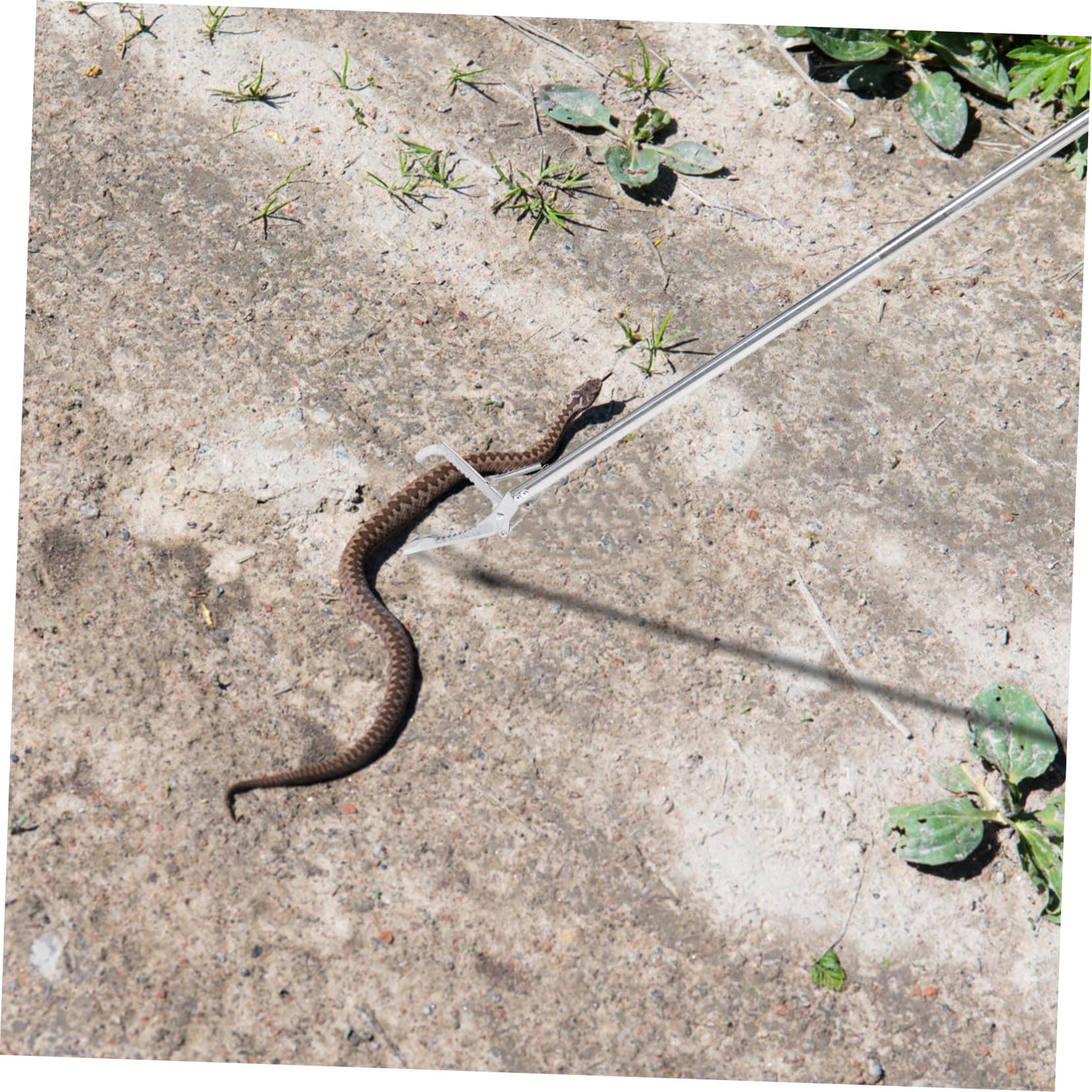 GANAZONO Herramienta para Agarrar Serpientes de Acero Inoxidable, Pinzas Antideslizantes Plegables de 1,2 Metros, Clip Resistente y Seguro para Manipulación de Reptiles en Exteriores