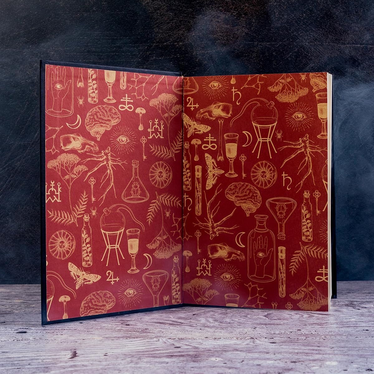 Alchemised: The 2025 debut novel phenomenon everyone is talking about and no one can put down