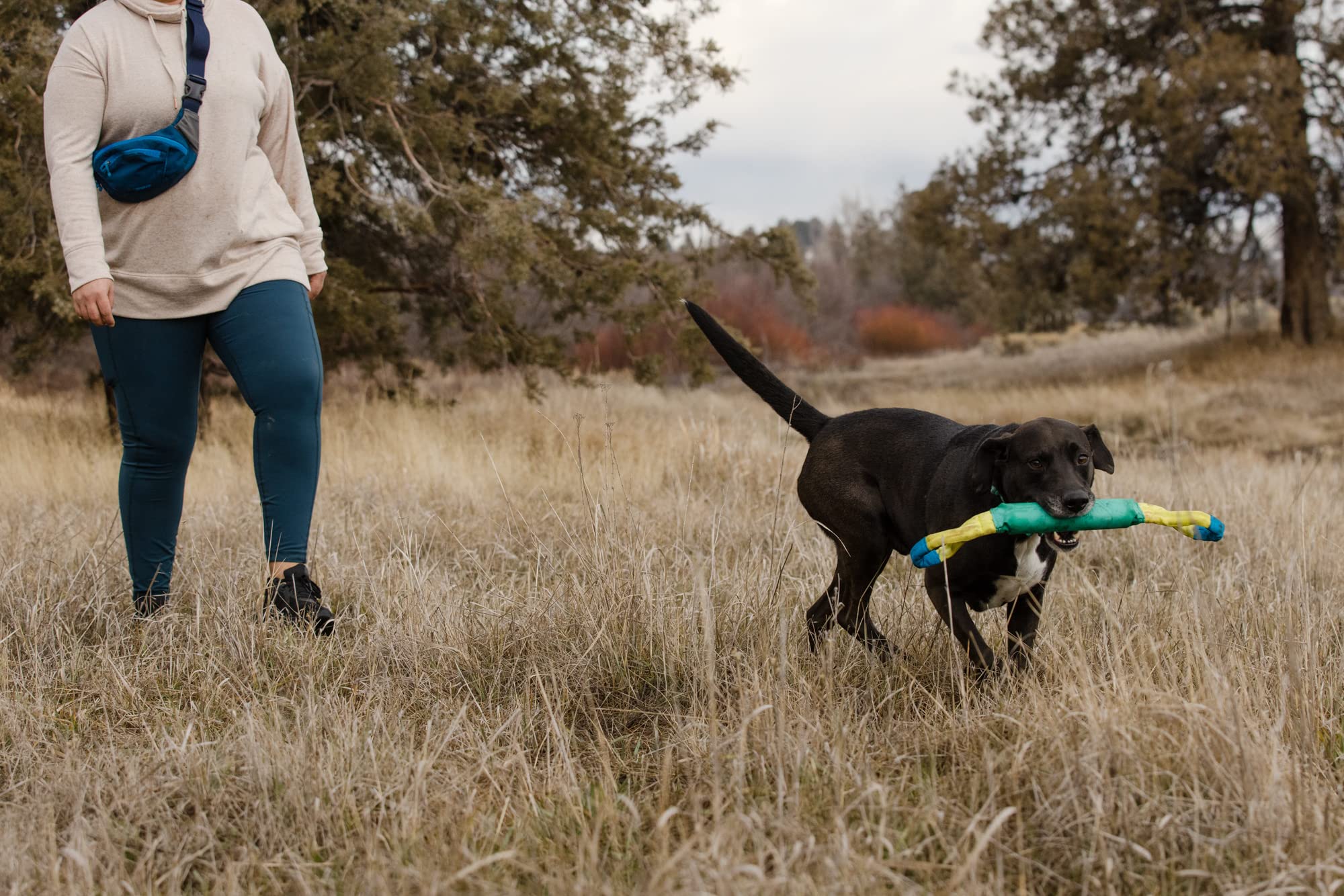 Ruffwear, Pacific Loop - Giocattolo interattivo per cani, colore: foglia di tè
