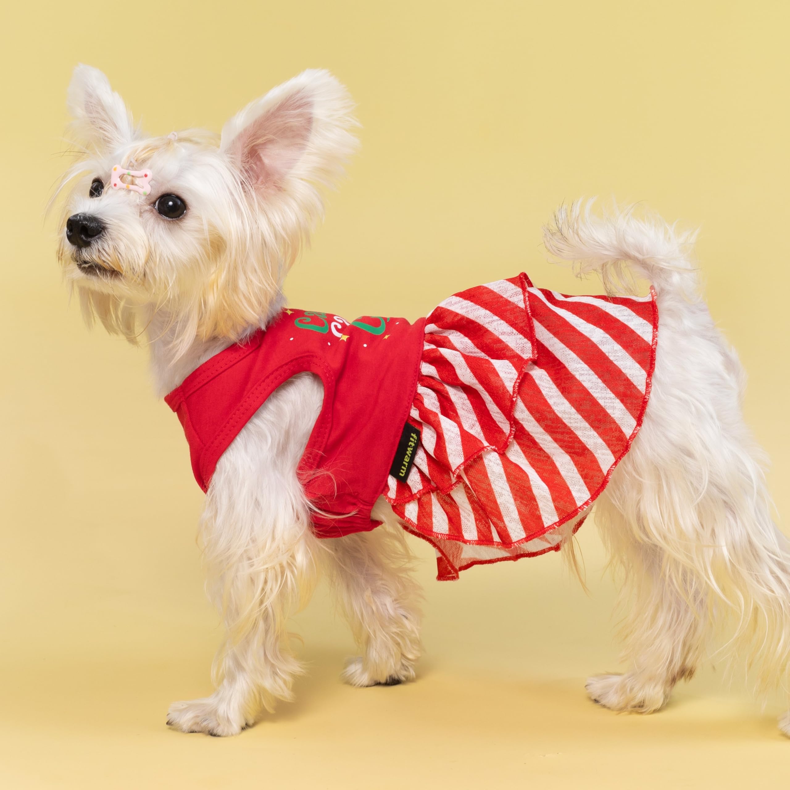 Fitwarm Candy Cane Cutie Dog Tiered Dress, Christmas Outfit for Small Dogs Girl, Funny Holiday Pet Clothes, Red, White, Green, Medium : Pet Supplies