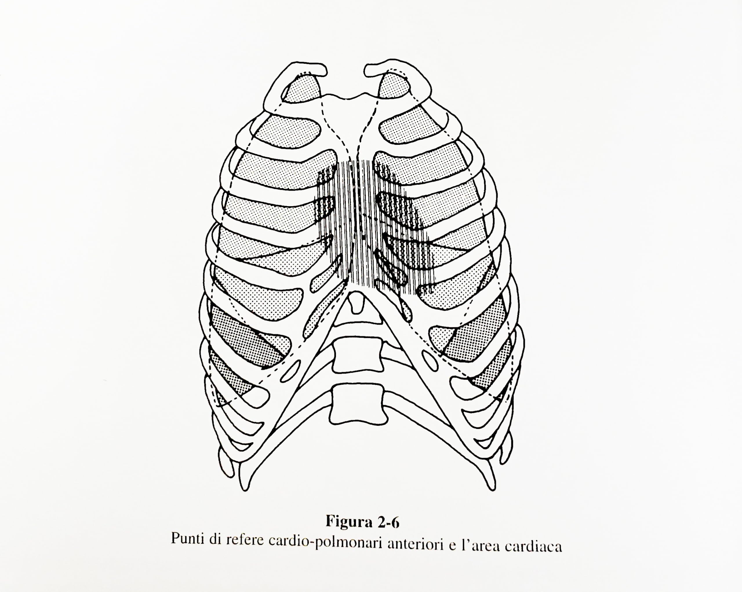 Manipolazione viscerale (Vol. 1) | Libro pilastro su cui un osteopata deve fondare le proprie conoscenze sia teoriche che pratiche