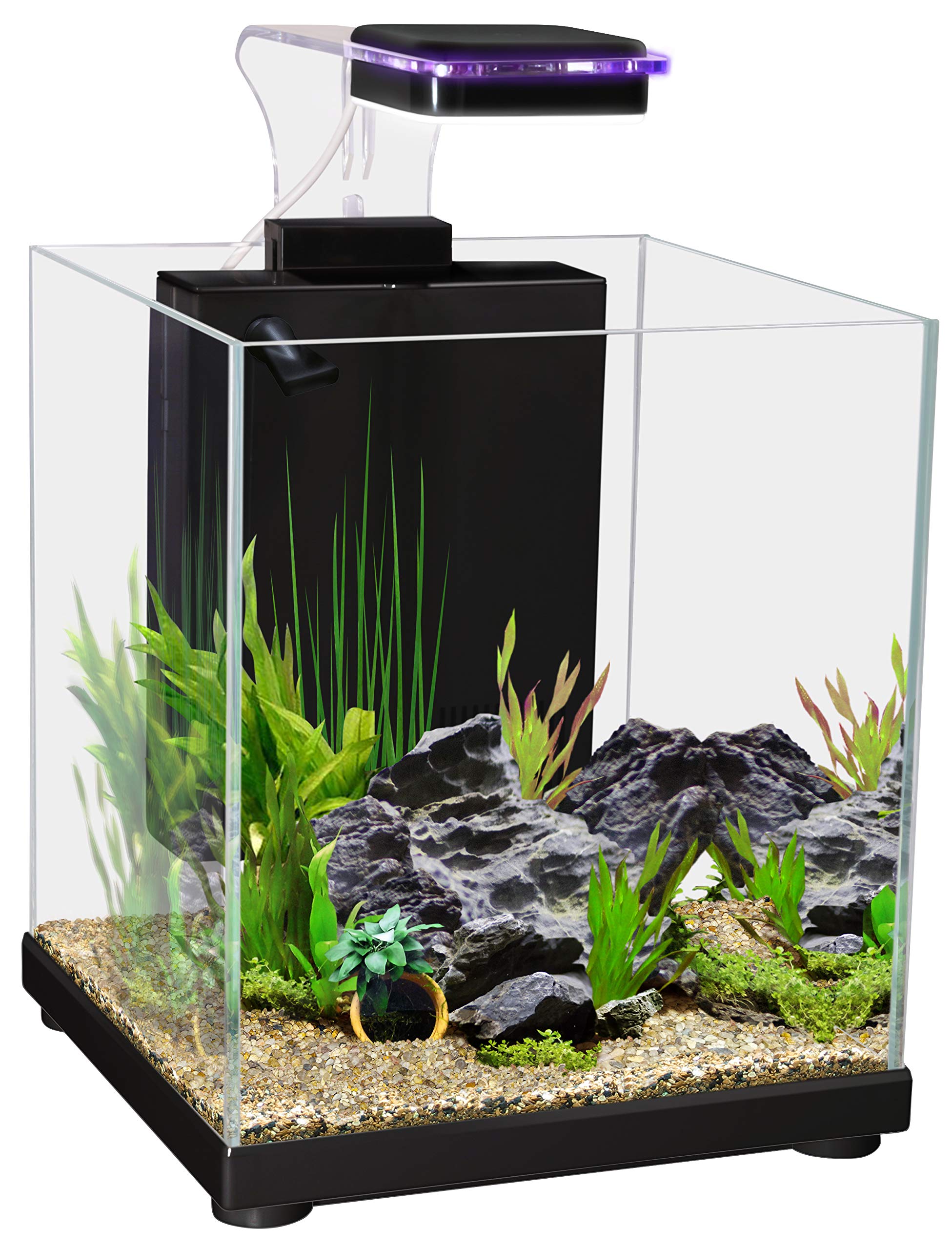 AquaOne Betta Sanctuary Glass Aquarium 10L Black